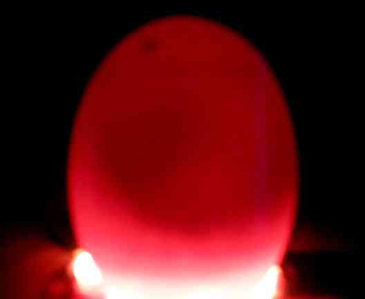 chickinegg.jpg