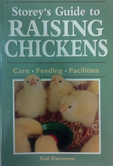 StoryChickenGuide.jpg
