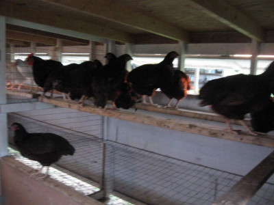 resizefile_IMG_0058.JPG