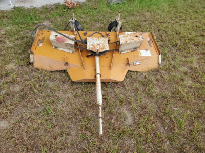 Cub2.jpg