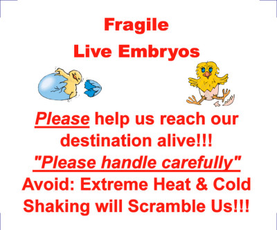 EggsShipCaution.jpg