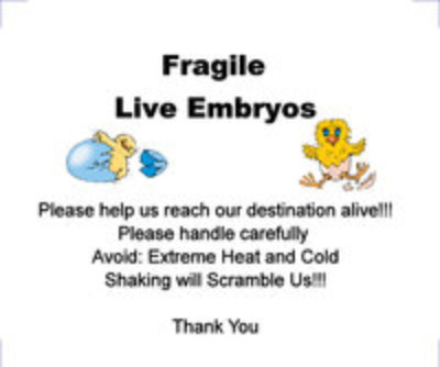 EggLabel2R.jpg