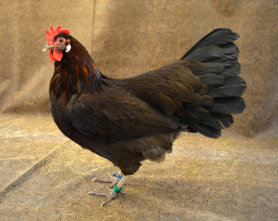 343f2cf4-8210-472f-957c-06ea2780bae6.jpg