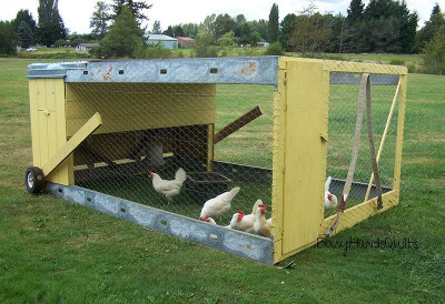 chicken-tractor-hero.jpg